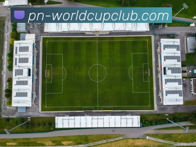 世界杯体育投注平台生态图